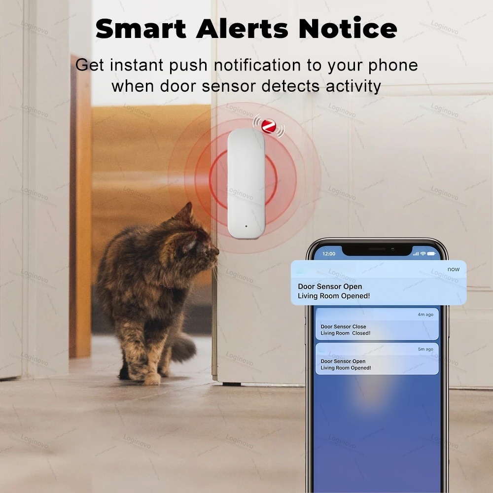 Tuya Zigbee Door Sensor Window - đánh giá và giá Zigbee Door Window Sensor