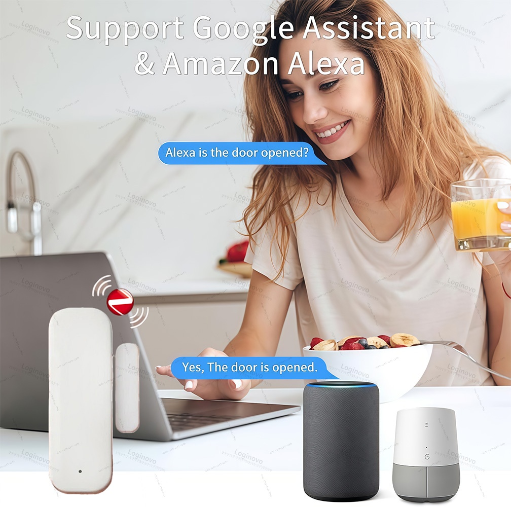 Tuya Zigbee Door Sensor Window - đánh giá và giá Zigbee Door Window Sensor