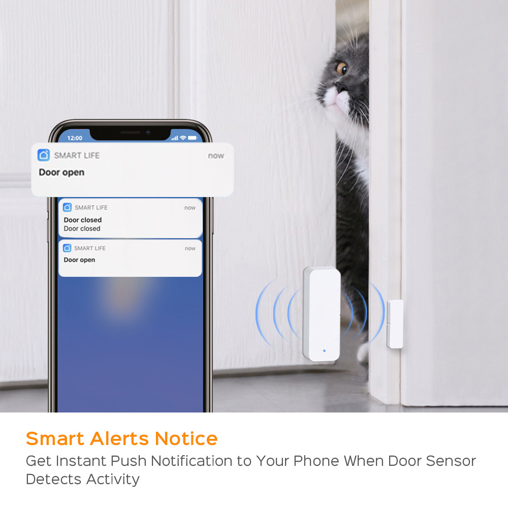 TUYA Zigbee 3.0 Smart Window D - đánh giá và giá Zigbee Door Window Sensor