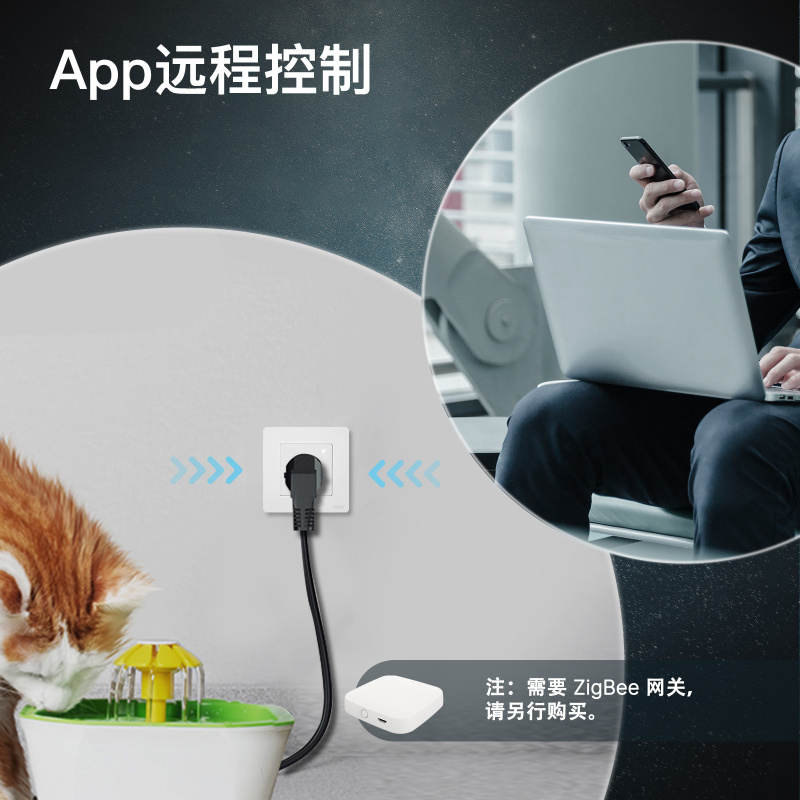MOES Tuya Zigbee Smart Plug –  - đánh giá và giá Zigbee Smart Plug Energy Monitor