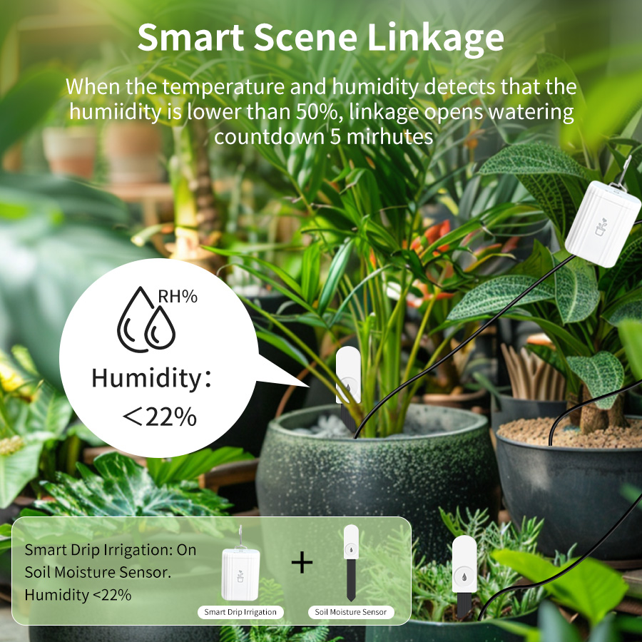 Smart Zigbee 3.0 Soil Tester H - đánh giá và giá Zigbee Temperature Humidity Sensor