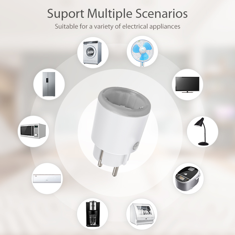 Tuya Zigbee Smart Power Plug 1 - đánh giá và giá Zigbee Smart Plug Energy Monitor