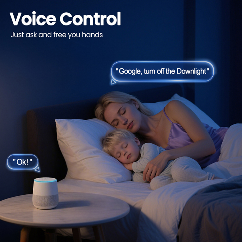 Brazil Standard Smart Plug 16A - đánh giá và giá Zigbee Smart Plug Energy Monitor